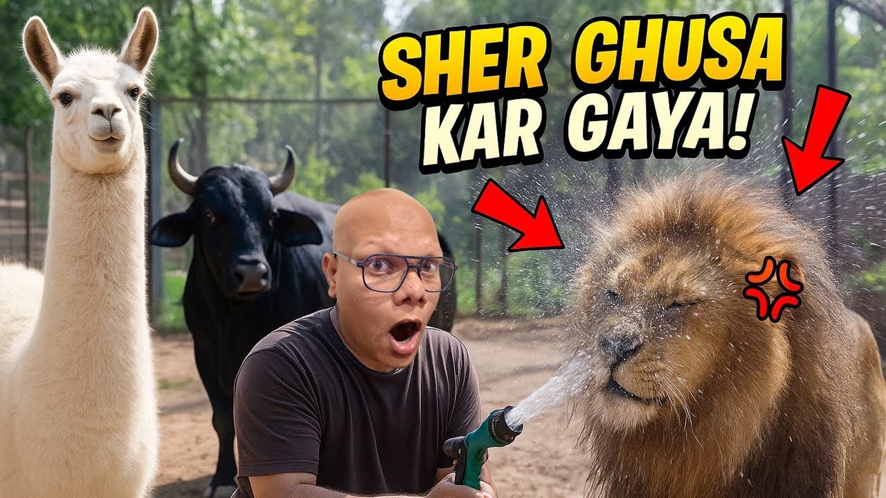 Sher Ghussa Kar Gaya 😡 | Showered My Lion & Cattles 🚿🐄 | BT Farm Stories