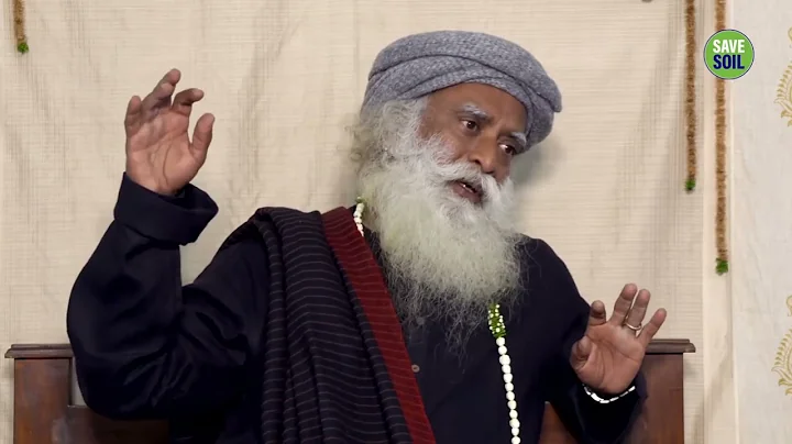 What To Do When You Are Confused | Sadhguru | Shemaroo Spiritual Life #sadhguru #spirituality