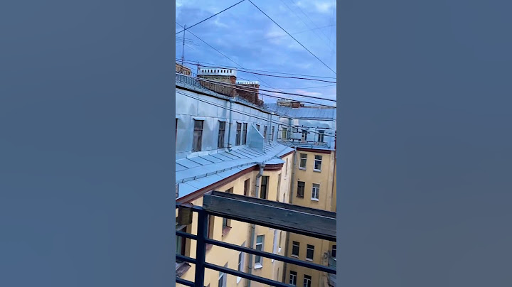 Питерские крыши #влог #travel #питер #влогикаждыйдень #природа #pigeon #music #питерские_крыши