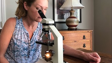 How to Run Fecal Samples/ Check for Worms in Goats.