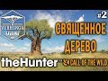 theHunter Call of the Wild #2 🔫 - Священное Дерево - Винтовка - Бородавочник, Спрингбок, Куду