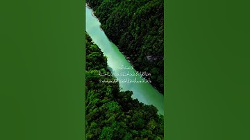 قل يا عبادي الذين آمنوا| تلاوة خاشعة// بصوت القارئ صالح اليافعي 🎧💙صوت يريح الأعصاب من هموم الدنيا 🌿