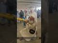 Masha,Allah makkah live madina live #makkah #madina #shorts #hajjlive #shortvideo #mecca