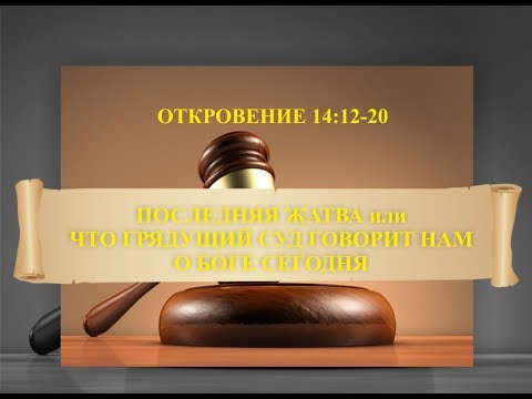 Грядущие суды. Кирилл бунин суд. Врпз тагил за перемены. Железный суд грядет. Кирилл котов стопхам.