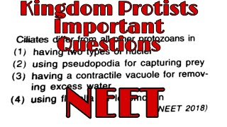 Biological Classification | Kingdom Protista | Class 11 | Important Questions | NEET