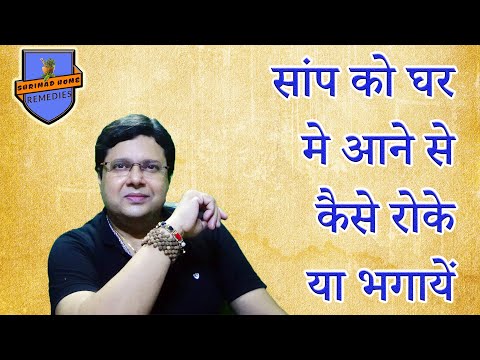 वीडियो: क्या कुत्तों ने मनुष्यों से एक-दूसरे के चेहरे की अभिव्यक्तियों की नकल करना सीख लिया?