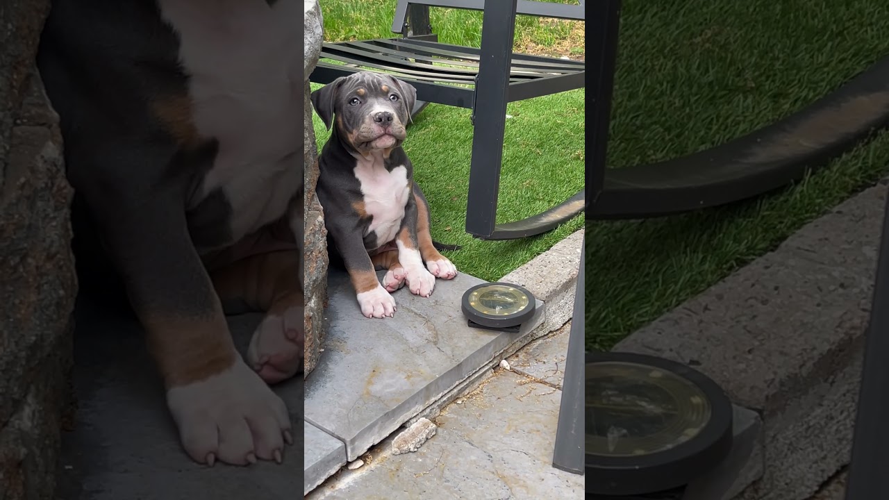 We still see the little version :🤣 