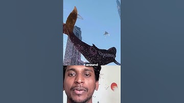 OpenMagic: The AI Tool That’s Revolutionizing CGI – Create Hollywood-Level VFX in Minutes! 😱