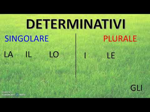 articoli determinativi e indeterminativi (maschile, femminile, singolare, plurale)