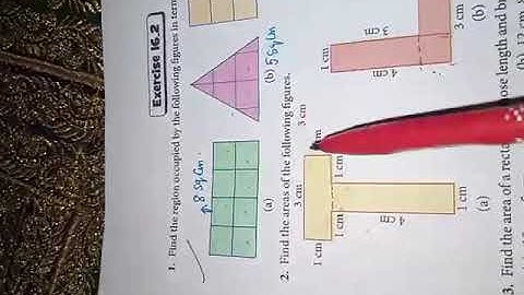 Class 5: Maths Exercise 16.2 (Area of Square and Rectangular) Part 1