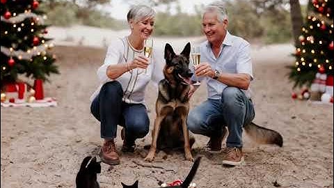 grok video verwijder het witte kader om de katten c60aa76f 1564 461b 9acf 8672637bfc7b image edit 0