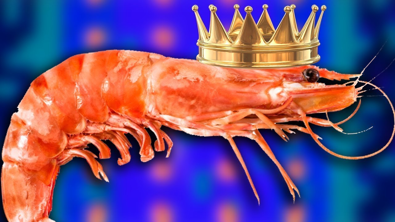 Креветка картинка смешная