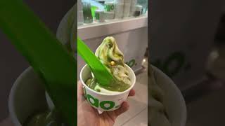 My Most Favourite Llao Llao