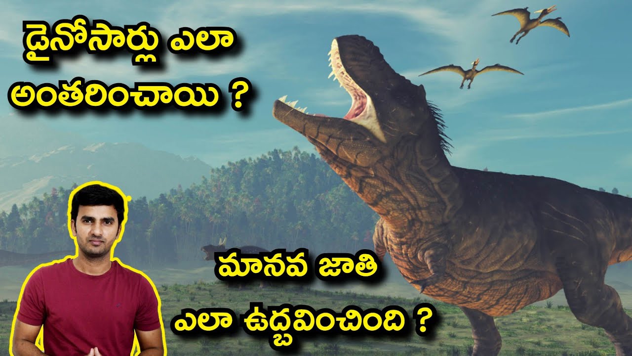 How Dinosaurs Went Extinct | Human Evolution Explained in Telugu Animal  Facts | #TeluguFacts - YouTube