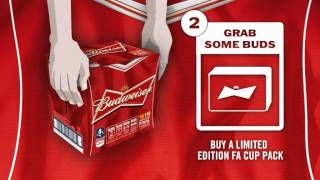 Budweiser UK: Advert | on-pack promotion