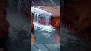 Sarang Ikan Air Terjun Indah