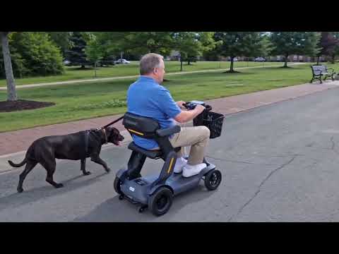 "Same park, same dog, different ride" 🐕 | Glashow Mobility Scooter