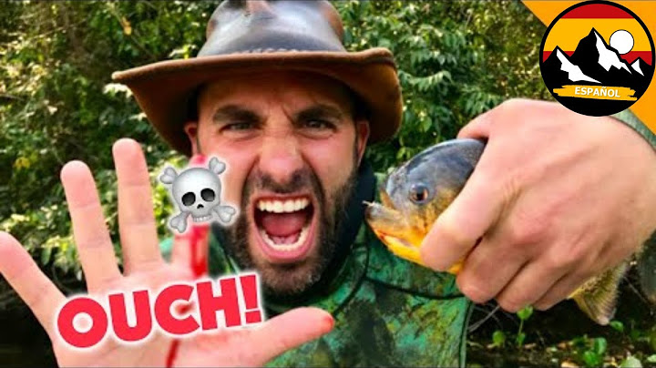 MORDEDURA DE PIRAÑA | Ataque de piraña | Brave Wilderness Español