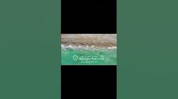 الآية (٣٩-٤٢) من سورة النجم بصوت الشيخ عبدالباسط عبدالصمد