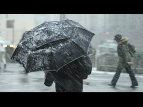 Видео: Времето и климатът в Пусан