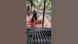 viral ibu Lily - lagu sakitnya hatiku (iis dahlia)