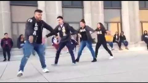 Alpha Psi Lambda National, Inc. Loyola Yardshow 2016 Rho Chapter at Xi