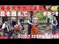 「丘を越えて」#東京大衆歌謡楽団 (歌詞つき) 2018/7/22浅草神社・奉納演奏【4K】