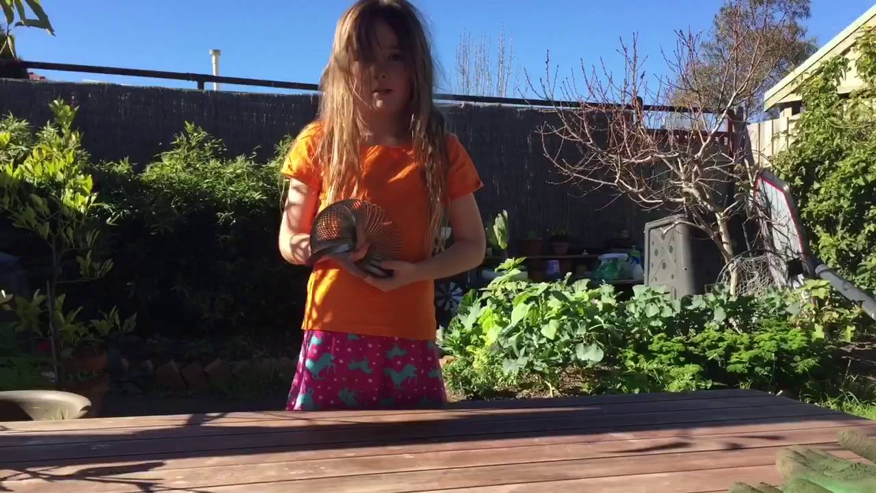 Slinky with Scout & Sonny