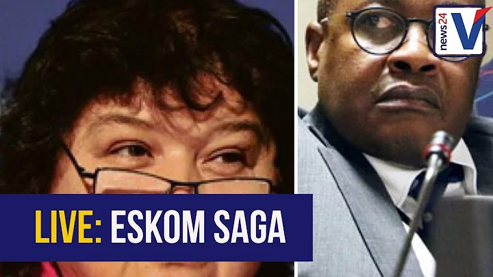 WATCH LIVE: MP Lynne Brown hauled over coals by Pa...