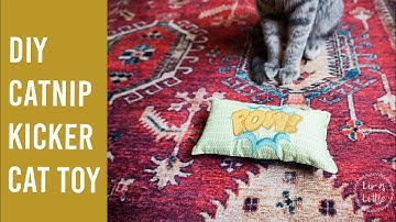 DIY Embroidered Catnip Kicker Cat Toy