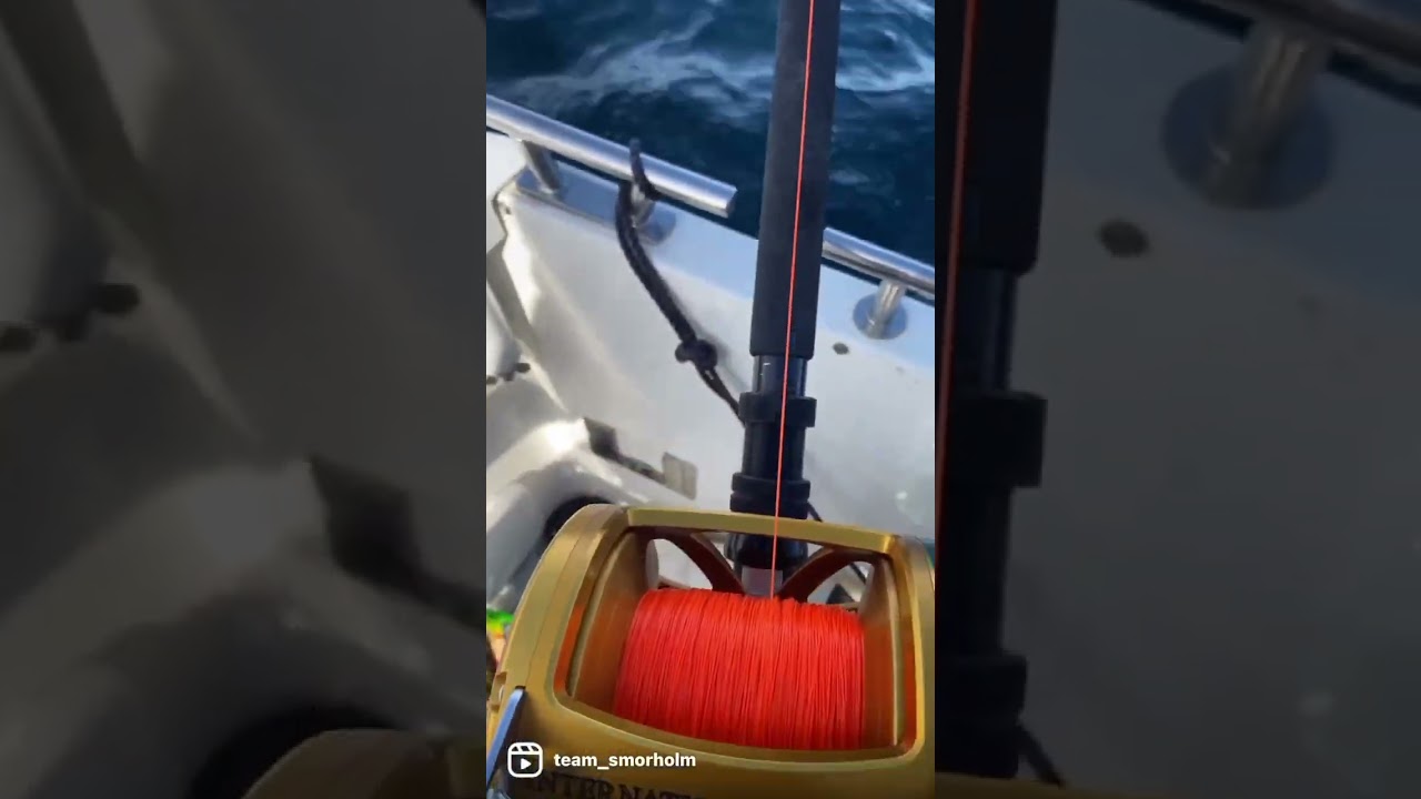 Double strike and hook up with giant blue fin tuna