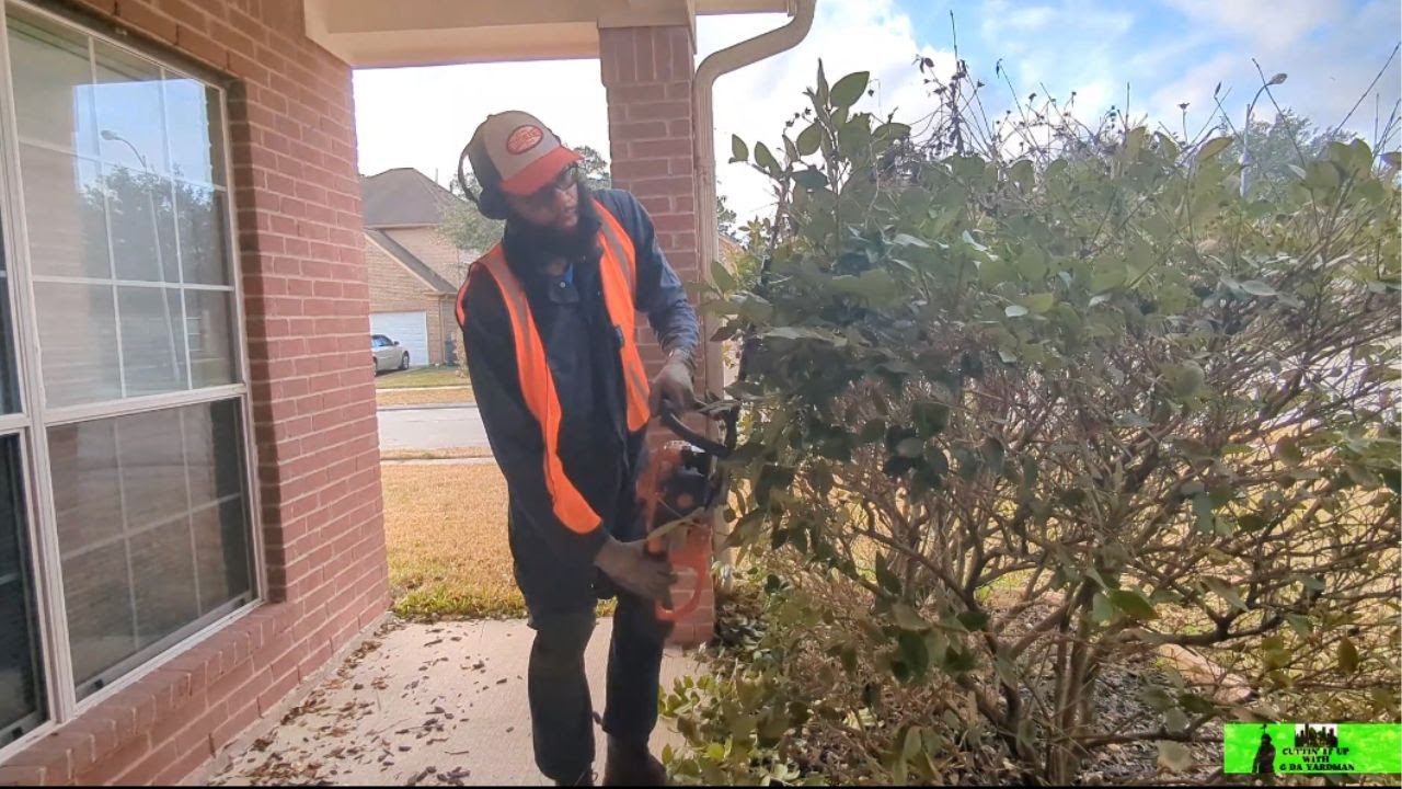 I TRANSFORMED this corner lawn back into a BEAUTIFUL MASTERPIECE 