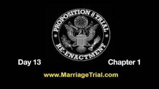 Prop 8 Trial Re-enactment, Day 13, Chapter 1