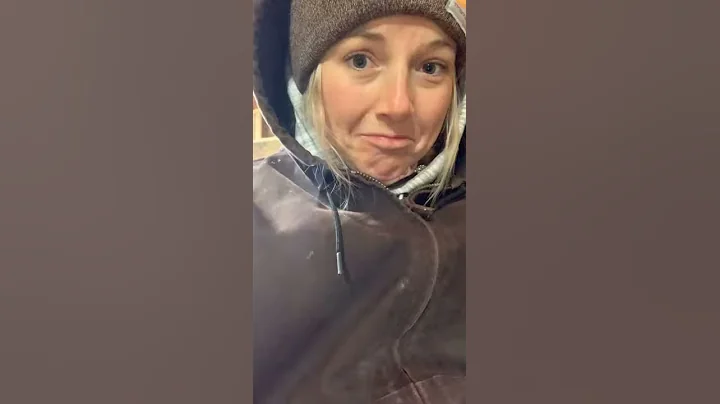 Shaina calving season 2021