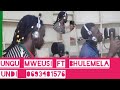 NYANDA SHINYANGA MZUNGU MWEUSI FT BHULEMELA KIKUNDI 0693481576 MSS STUDIO 7 10 2025 