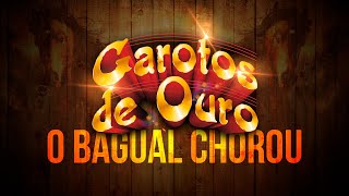 Video thumbnail of "GAROTOS DE OURO | O BAGUAL CHOROU [AO VIVO]"