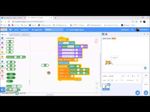 Scratch-ში ტესტი - თამაშის შექმნა