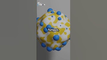 NASA’s fungus could build future homes in space ||  #astronomy