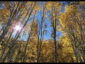Chasing Fall Colors along Hwy  395 Oct  2023