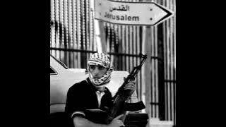 Zein panzer | GAGA |