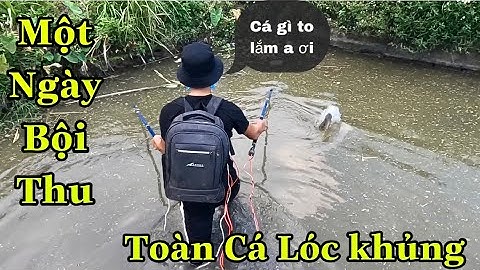 Kích Cá Dọc Kênh Mương Đàn Cá LÓC Khủng Mắc Cạn Gần 10 Con | Trường TL