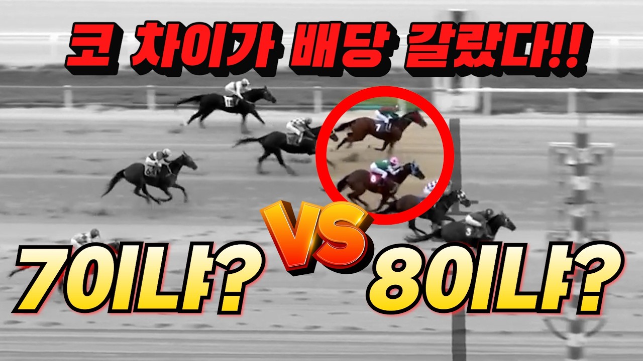[고배당 가두리]새롭게 정신무장 하고 돌아오겠습니다!!코차이 승부