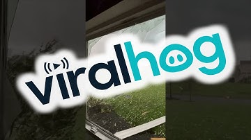 Man and Dog Make it to Safety Moments Before Devastating Tornado Hits || ViralHog