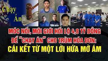 Móc nối, môi giới hối lộ 4,8 tỷ đồng để “chạy án” cho trùm hóa đơn: Cái kết từ một lời hứa mờ ám