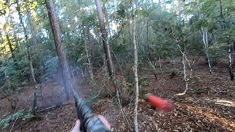 SC Deer Dog Drives 10/25/2025: Brock Kills a Buck on Cam! 