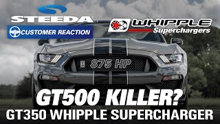 Whipple Supercharged 2018 Shelby GT350 | Steeda Customer Reaction Should You Supercharge A Shelby Gt350 Or Get A 2020 Gt500 Battle Of The 800hp Cars