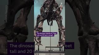 World's largest dinosaur fossil sells for $44.6m