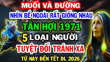Phơi Bày Sự Thật, Ai Hãm Hại, Ai Giúp Đỡ Người Tuổi Tân Hợi 1971 Từ Nay Đến Tết Dương Lịch 2026.