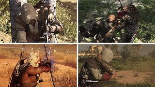 Hunting Animals in Every Assassin's Creed