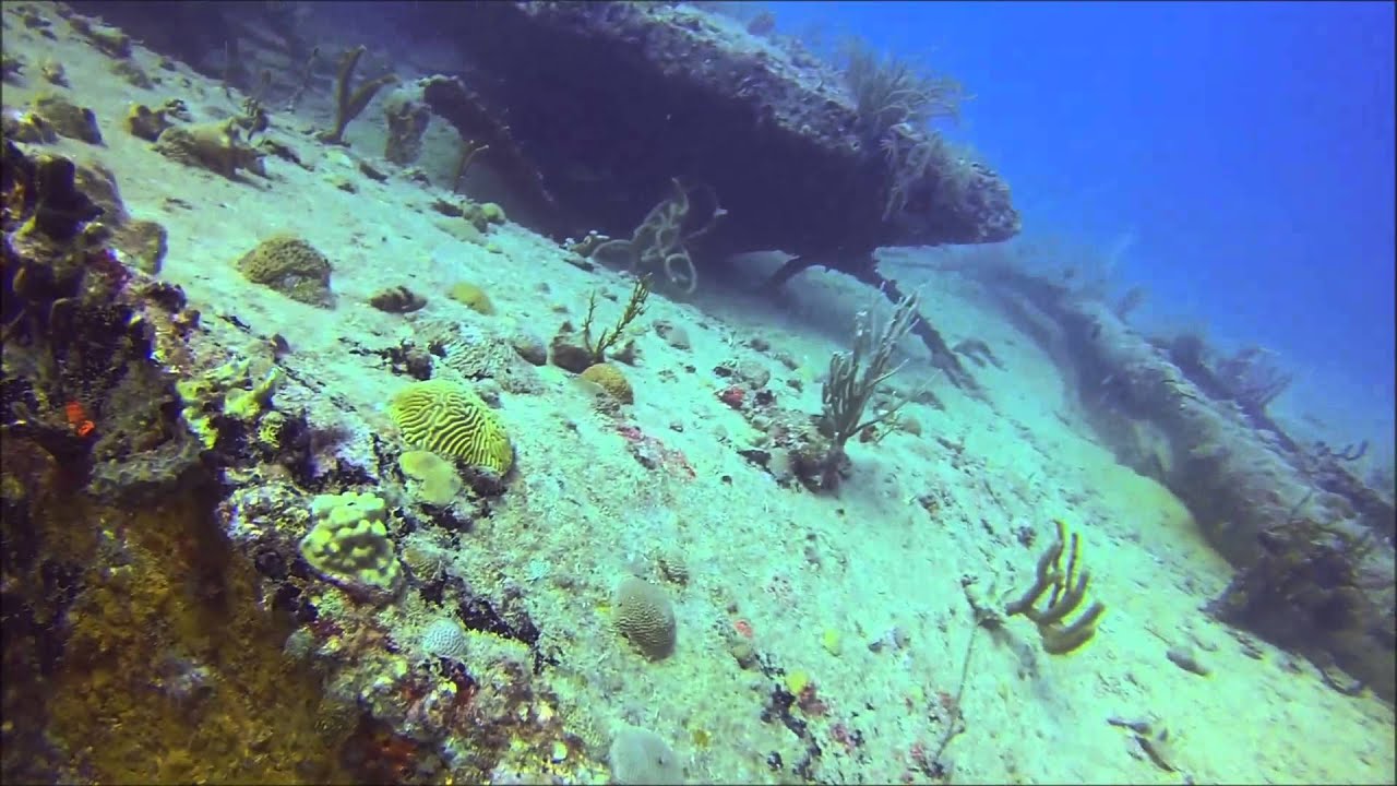 Saint Thomas Dive Trip Blue Island Divers 552014 YouTube